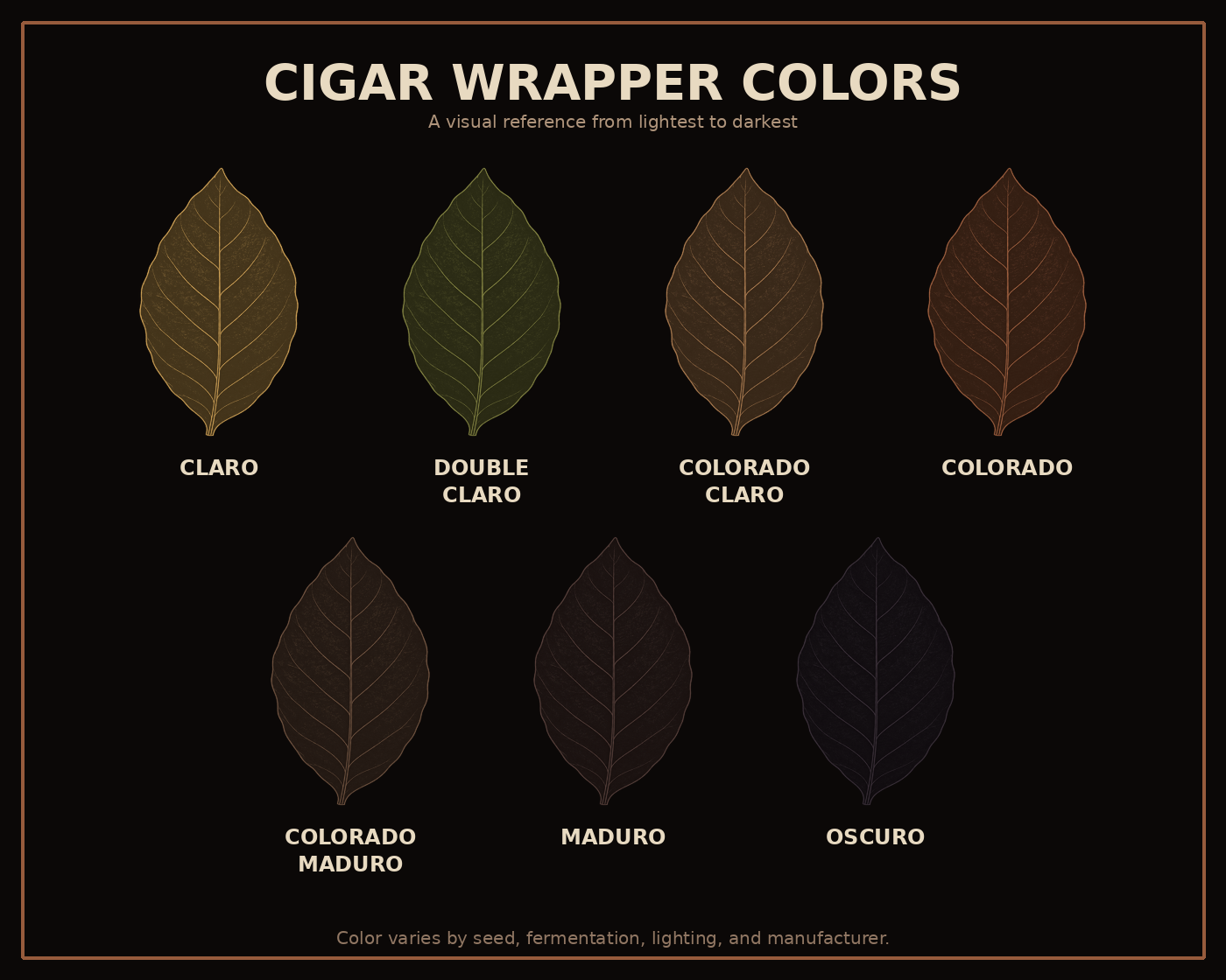 Seven cigar wrapper colors shown from lightest to darkest